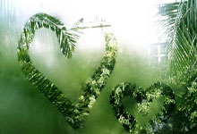 拜仁慕尼黑战胜对手，晋级欧冠半决赛