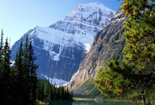 拜仁慕尼黑战胜对手，晋级欧冠半决赛