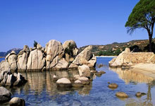 拜仁慕尼黑战胜对手，晋级欧冠半决赛